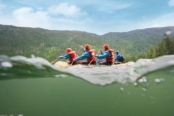 体育培训机构印章管理规范指南(图1)